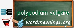 WordMeaning blackboard for polypodium vulgare